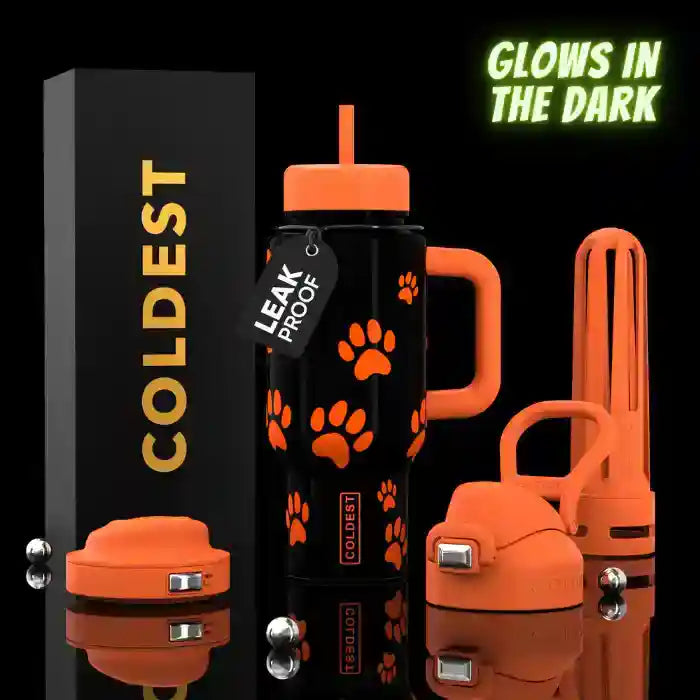 COLDEST 24oz Limitless Ultra v8 Water Bottle